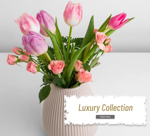 Luxury Collection