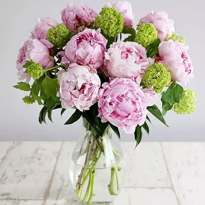 Peonies Love