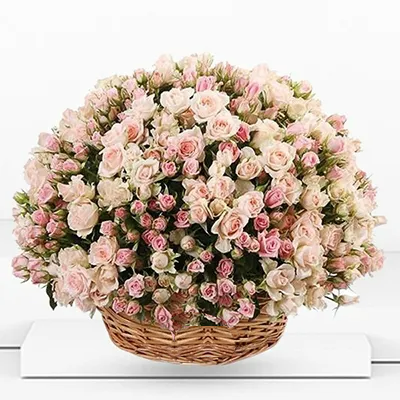 Peachy Pink Basket