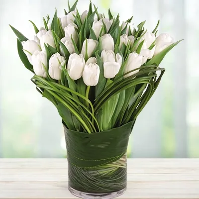 White Tulips