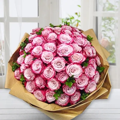 Lovely Roses