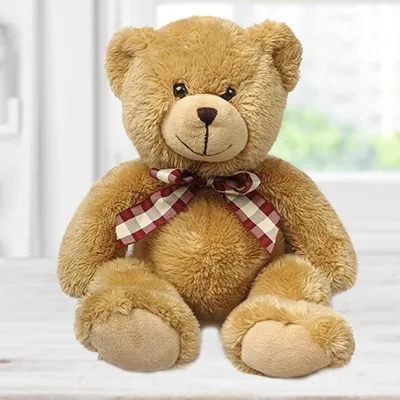 Jumbo Teddy 36-40 Inches