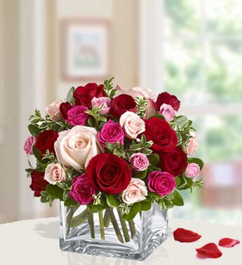 Ravishing Roses