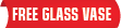 Free Glass Vase