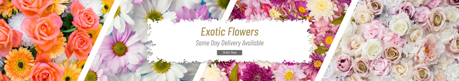 Extotic Flowers