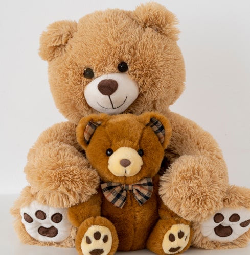 Teddy Delivery Ras Al Khaimah